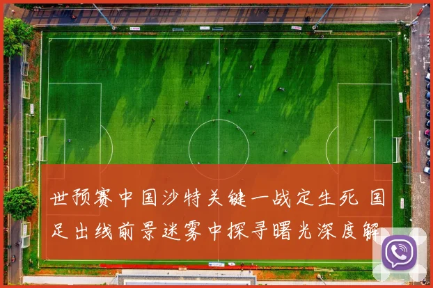 世预赛中国沙特关键一战定生死 国足出线前景迷雾中探寻曙光深度解析
