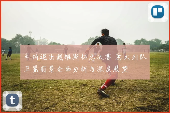 辛纳退出戴维斯杯总决赛 意大利队卫冕前景全面分析与深度展望